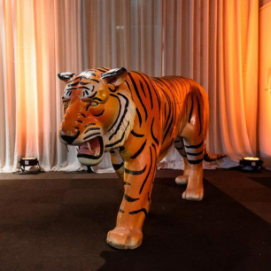 large tiger prop at party