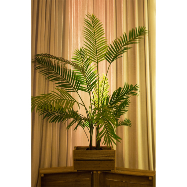 Areca Palm Pot Plant 5
