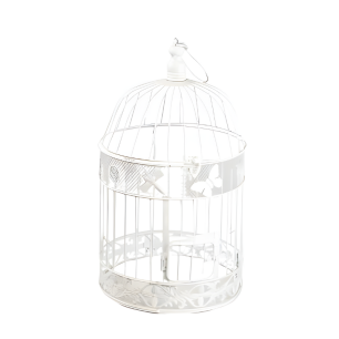 white bird cage