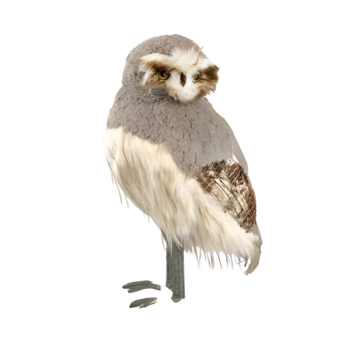 realistic spotted owl prop