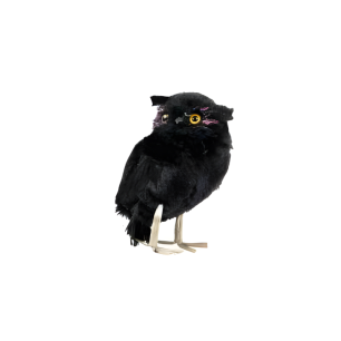 little black owl prop