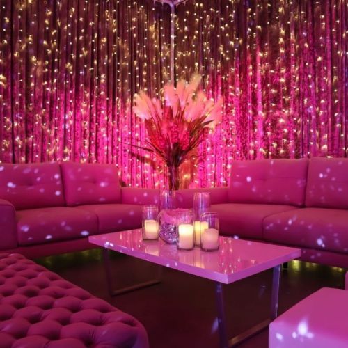 Pink Themed party fairy light curtain