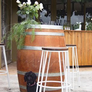 wine barrel with hairpin stools and a dog