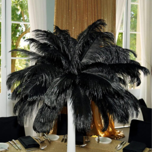 Close Up Black Feathers