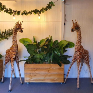 Two metal Prop Giraffes 