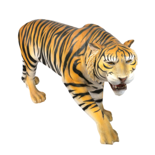 Tiger - Medium