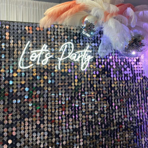 lets party silver disco sequin backdrop