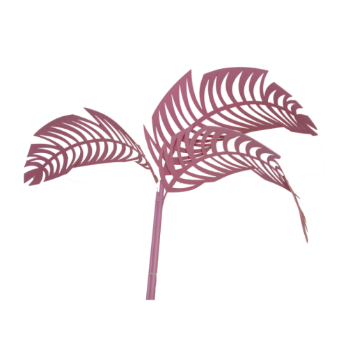close up pink palm tree