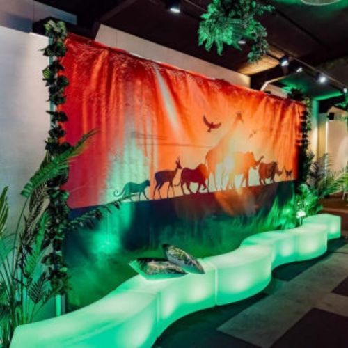 jungle themed party illuminated benches LED