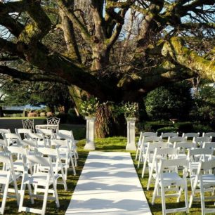 wedding ceremony under big tree Coombe Estate